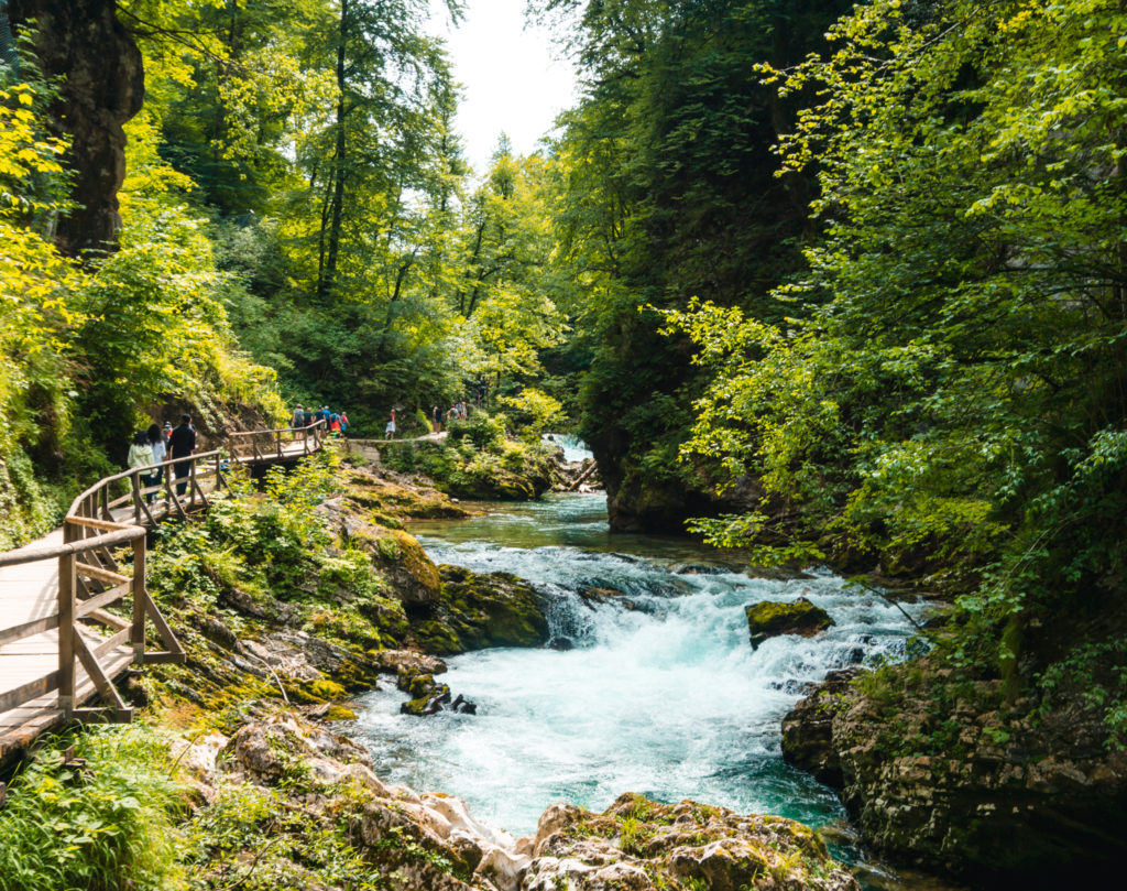 Vintgar Gorge in Slovenia