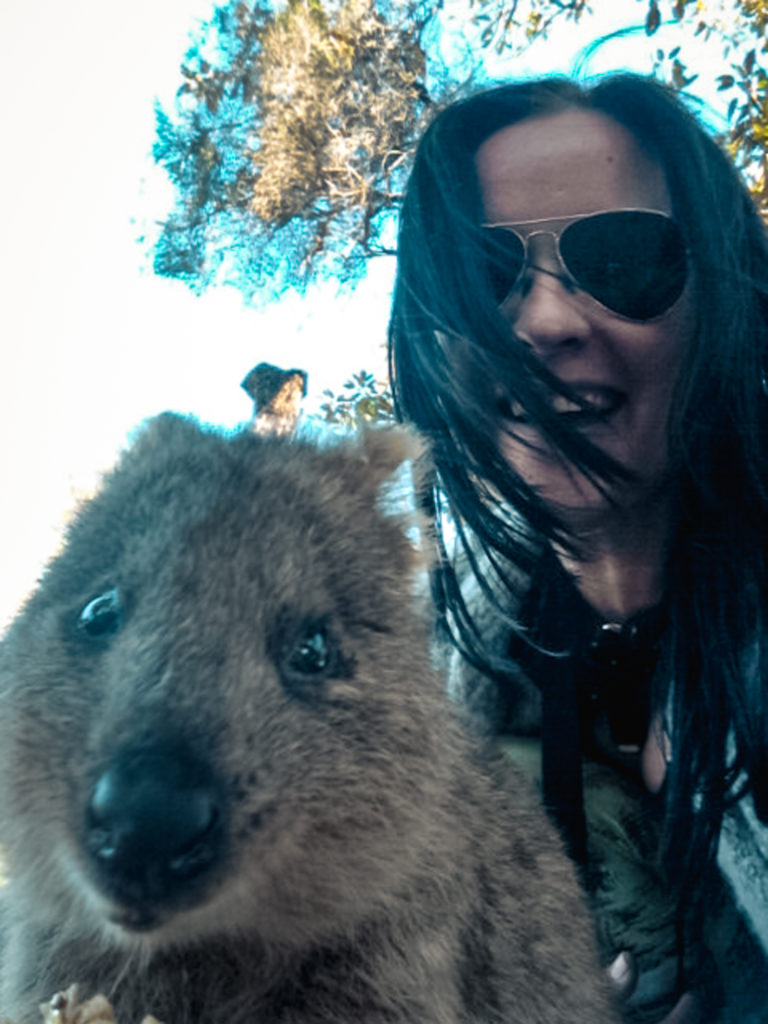 Quokka Selfie Rottnest Island